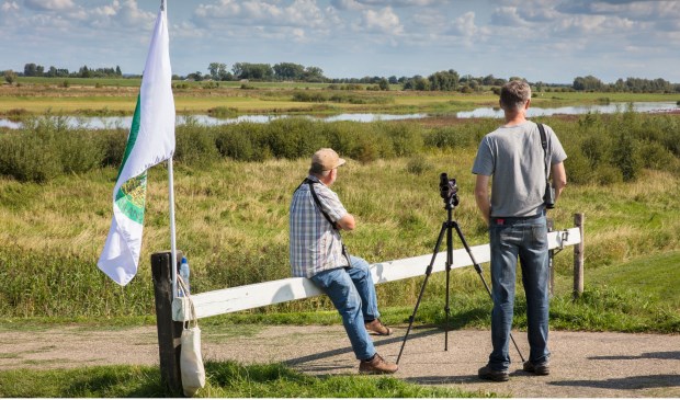 Lepelaars spotten in de uiterwaarden van Everdingen.