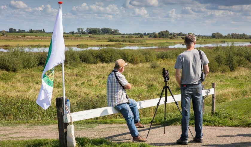 Lepelaars spotten in de uiterwaarden van Everdingen.