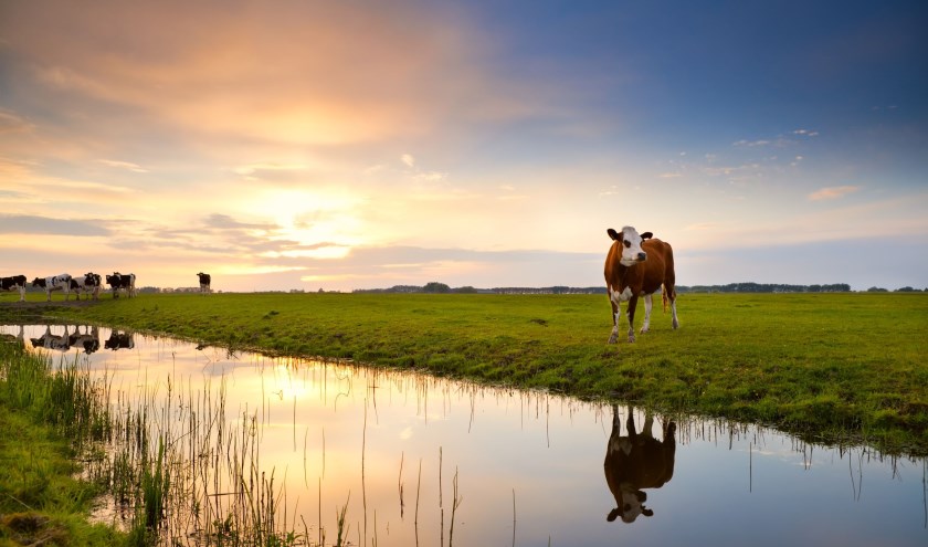 • Waterschap Rivierenland maakt zich zorgen over 'verlanding' in de regio.