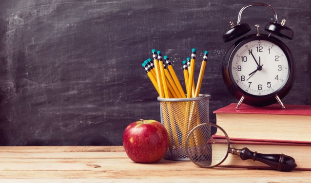 • Schooldirecteuren verwachten dat de brede school zal bijdragen aan de kwaliteit van onderwijs in Ameide.