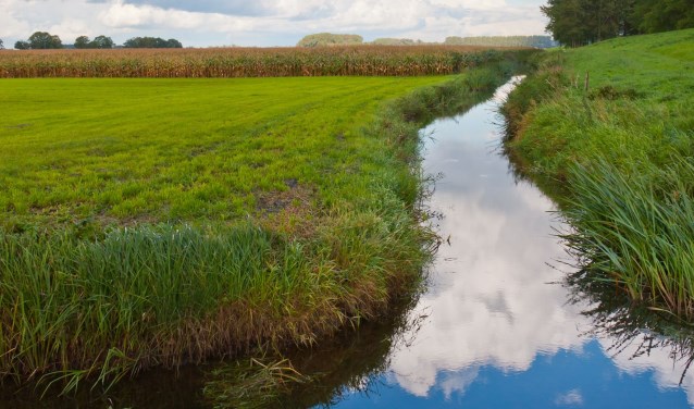 • In het verleden zijn te veel sloten gedempt, waardoor nu wateroverlast ontstaat.