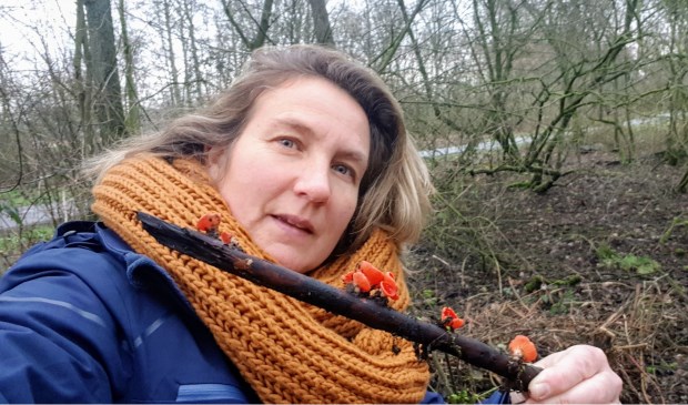 • Patricia Oskam met de kelkzwammen.