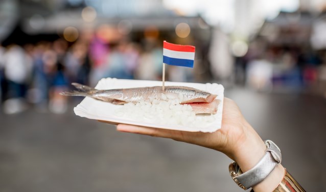 Holding herring with onions traditional dutch snack