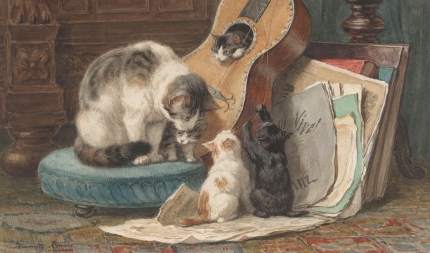 • Henriette Ronner-Knip, Een kat met drie jongen.