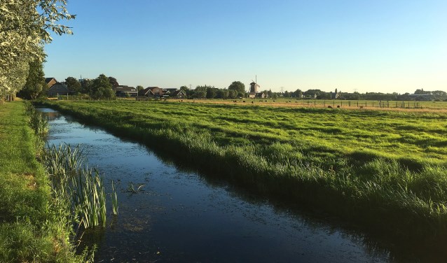 • Het gebied ten westen van de Zevenhovenstraat.