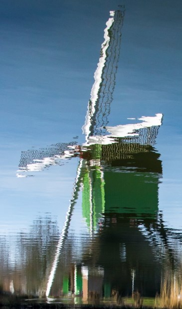 • De winnende foto van februari 2019.