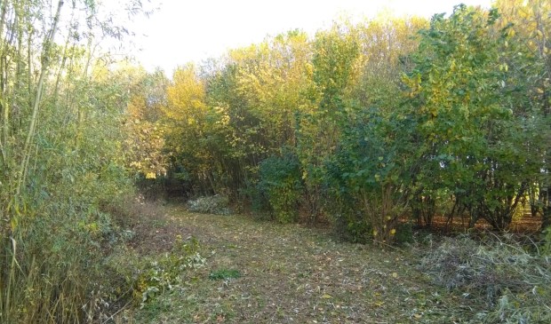 • Het bos is er al, nu de rest van het landgoed nog.