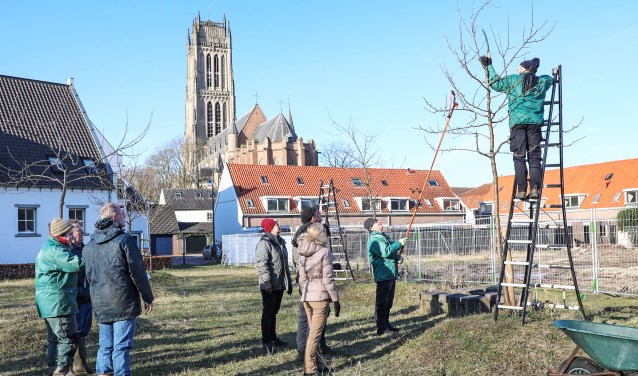 • Vorig jaar werd in februari ook een Boomsnoeidag gehouden.