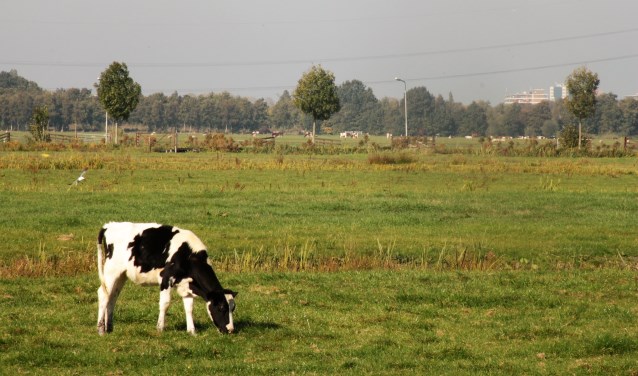 • Polder tussen Krimpen aan den IJssel en Krimpen aan de Lek.