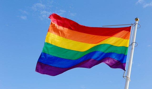 • De regenboogvlag.