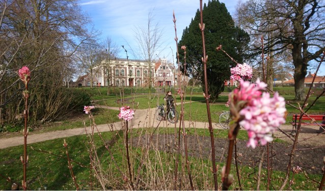 • Uitzicht op museum Bisdom van Vliet vanuit de overtuin.
