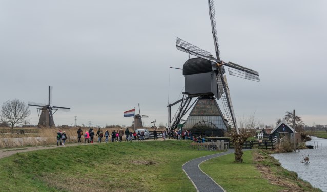 Groepen 5 en 6 naar Kinderdijk