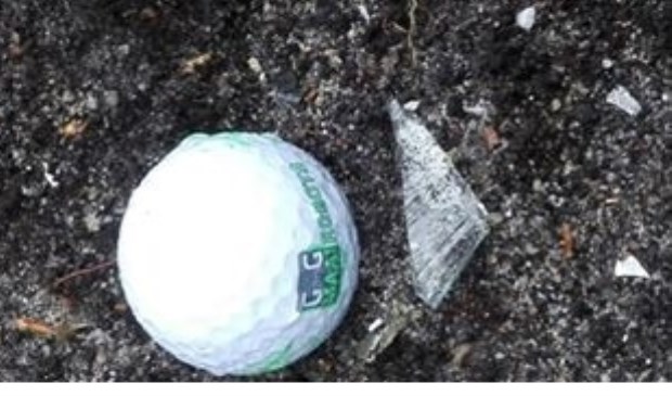 • Een van de gegooide golfbal, niet de golfbal die Inge geraakt heeft.