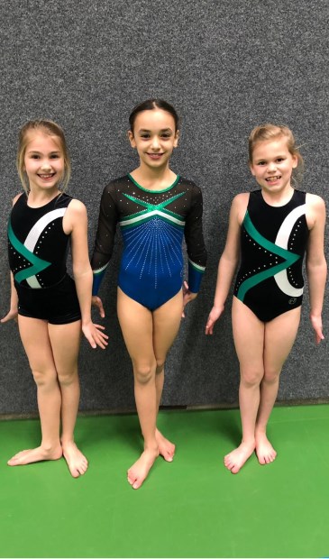 • Op bijgaande foto de turnsters van de categorie pupillen 1 D3.
