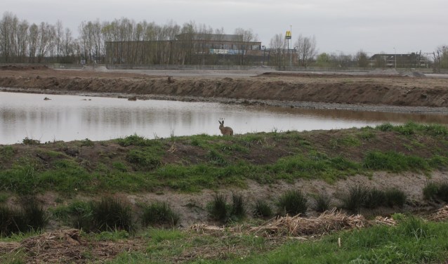 • Bij het grondverzet zijn volgens het waterschap schadelijke stoffen in het oppervlaktewater terechtgekomen.