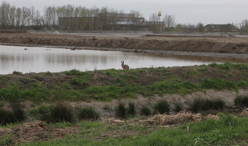 • Bij het grondverzet zijn volgens het waterschap schadelijke stoffen in het oppervlaktewater terechtgekomen.