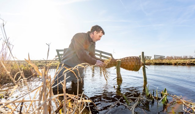 • De eendenkorven worden boven het water geplaatst.