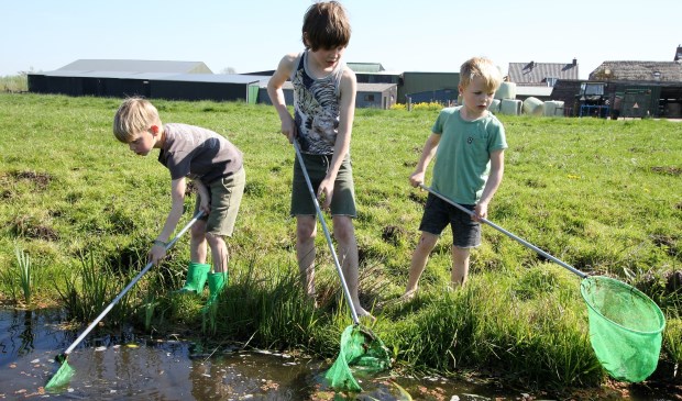 • Met een schepnetje ontdekken wat er in de sloot leeft.