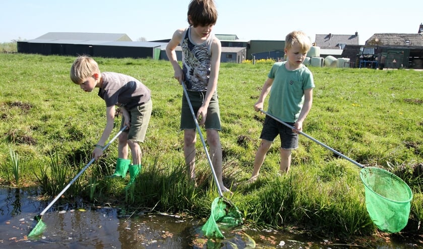 • Met een schepnetje ontdekken wat er in de sloot leeft.