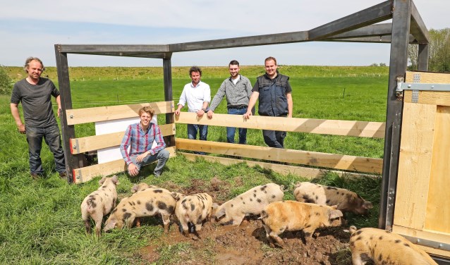 Varkenstractor voor Bommels Bakhuys