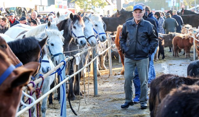• Paardenmarkt 2017.