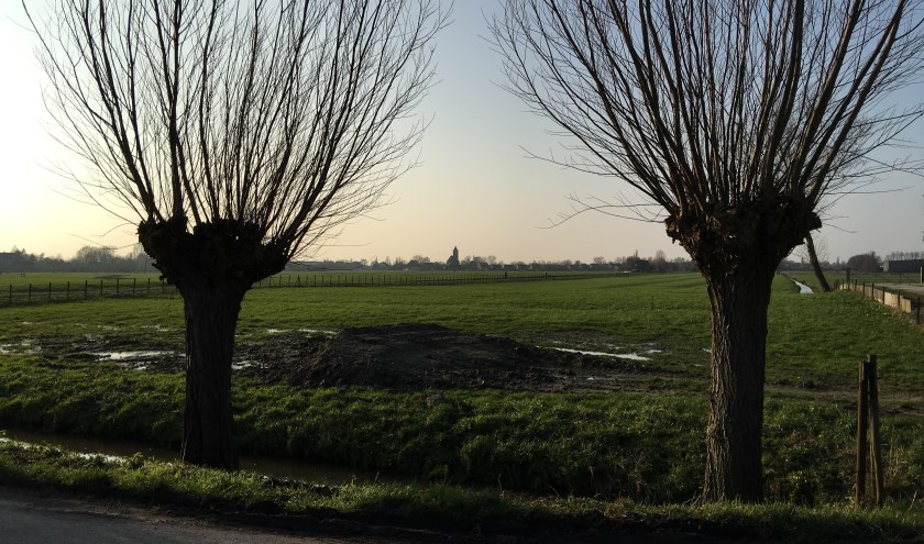 • Blik op polder De Hoeken.