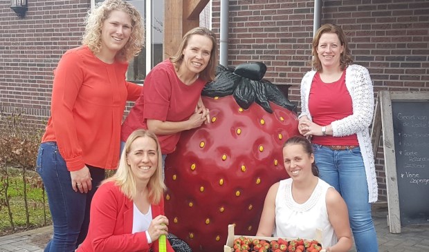 • Het toernooi heet voortaan: Landwinkel de Overscharen Aardbeientoernooi 17+.