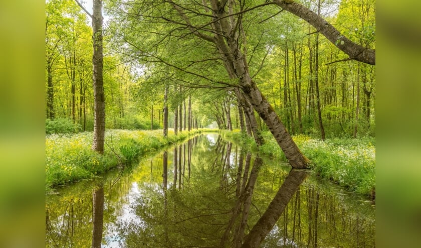 • De winnende foto van Harry Korporaal.