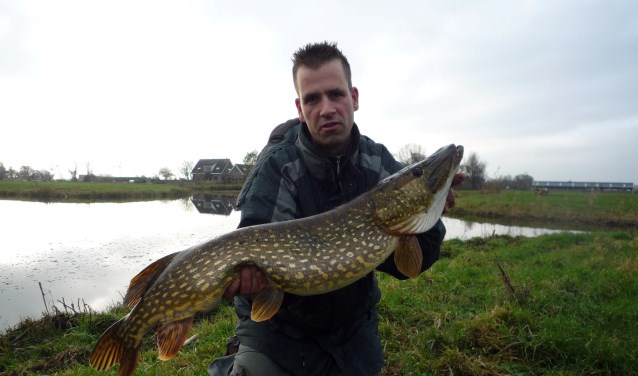 • Wilbert Mostert met een kanjersnoek.