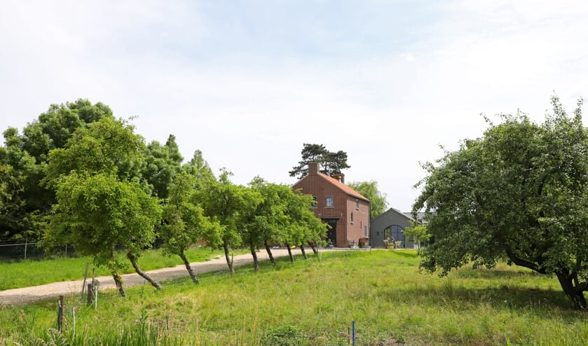 • Het perceel aan de Noordzijde 36 in Oud-Alblas.
