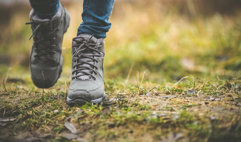 • De aanleg van het wandelpad pakt waarschijnlijk goedkoper uit.