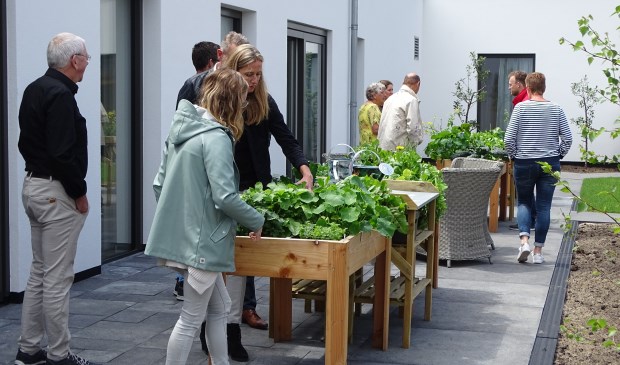 • Bezoekers bij de moestuinbakken.