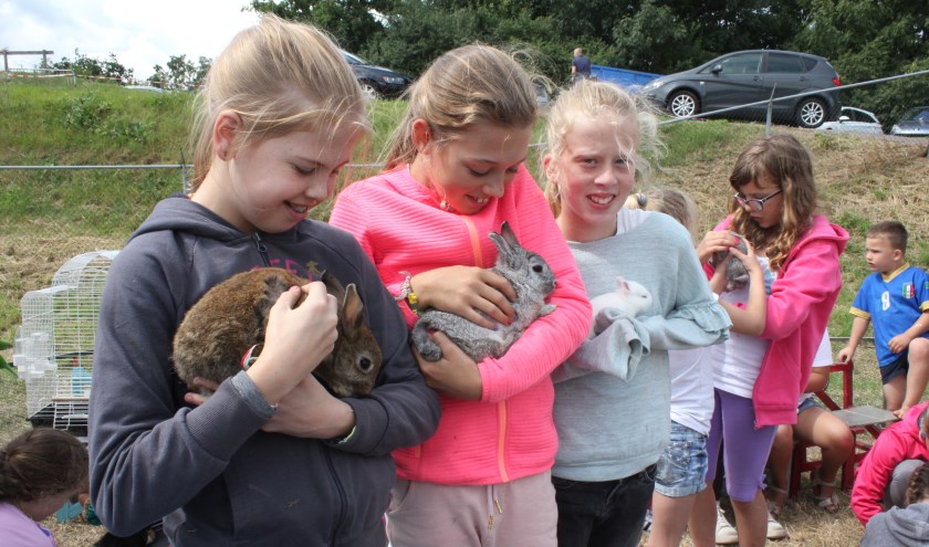 • Konijntjes knuffelen kan ook bij Doerak.
