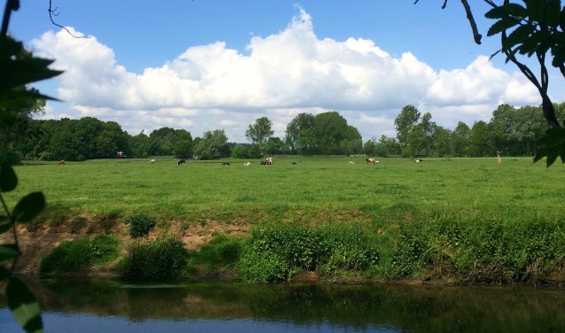 De Dommel in de zomer net voor de "dode arm" in Son | Fotonummer: 892b39