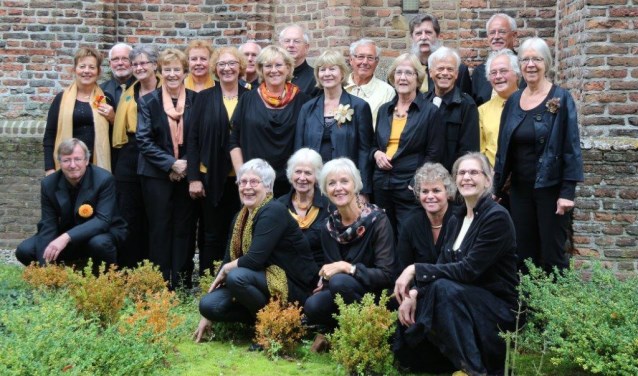 Het Sons kamerkoor | Fotonummer: fb295a
