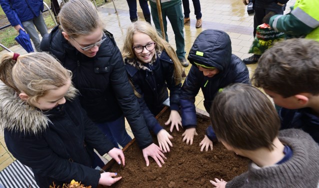 De kinderen voorzien de bakken van zaadjes en bollen | Fotonummer: 1b795d