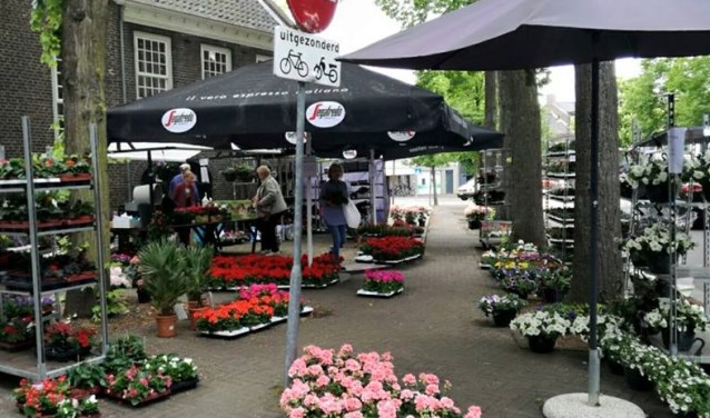 Geraniummarkt | Fotonummer: 2d9129