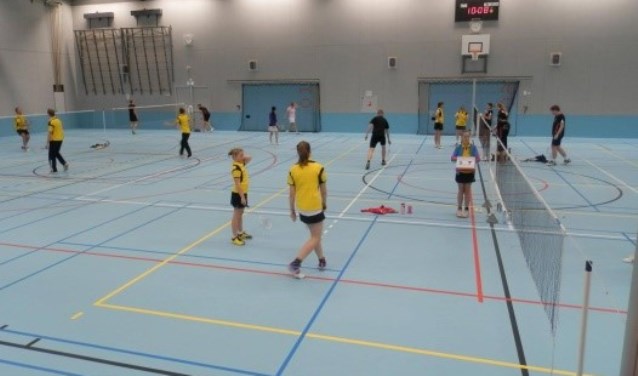 Training Scarabee | Fotonummer: 8abd4b