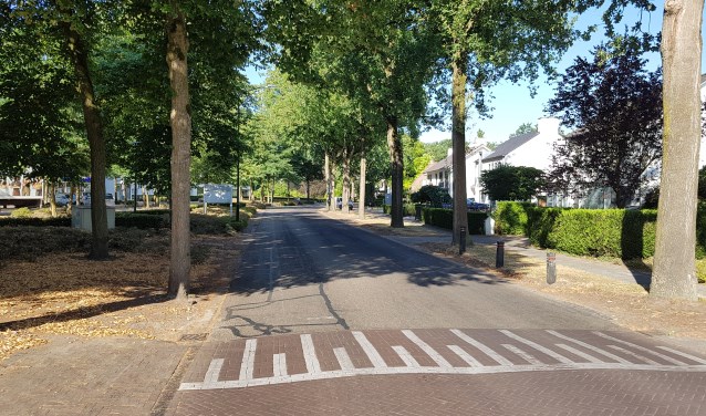De Boslaan | Fotonummer: ffd383