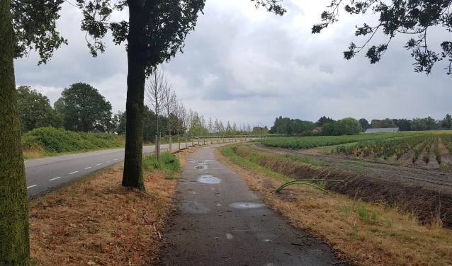 Lieshoutseweg Son en Breugel | Fotonummer: ea0ce9