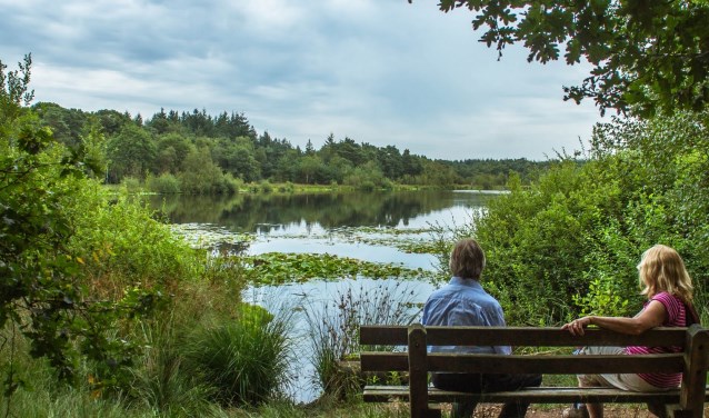 Wandelaars rusten uit bij de Hazenputten | Fotonummer: 60fa18
