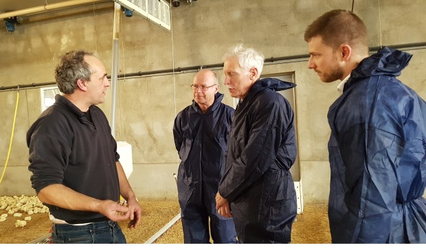 Rechts op de foto wethouders Boersma en van den Nieuwenhuijzen en gemeente secretaris Schalkx tijdens het bezoek aan de pluimveehouderij | Fotonummer: 33f539