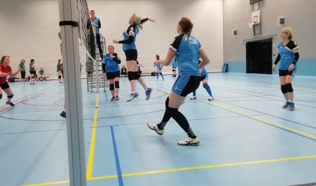 Actie van de dames Pieter Brueghel | Fotonummer: 229fda