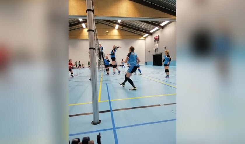 Actie van de dames Pieter Brueghel | Fotonummer: 229fda