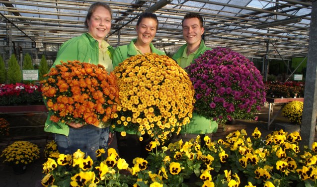 Ook in het najaar is de tuin kleurrijk met deze planten van Moerkerk's Plantenparadijs. Foto: VSK