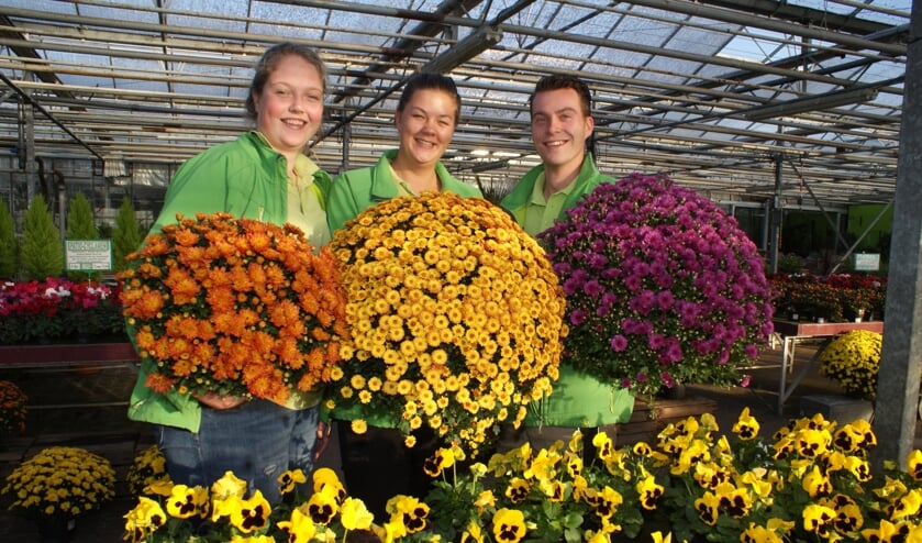 Ook in het najaar is de tuin kleurrijk met deze planten van Moerkerk's Plantenparadijs. Foto: VSK
