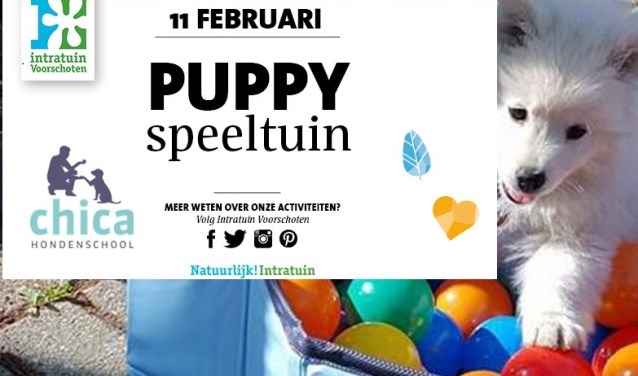 Op zondag 11 februari is ChiCa Hondenschool aanwezig op de dierenafdeling van Intratuin. Foto: PR