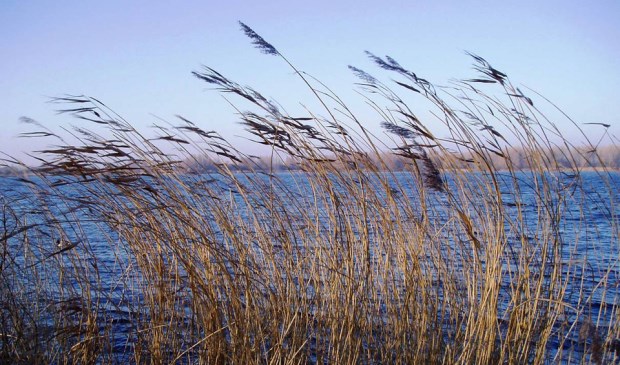 Geen geluidsscherm in de Meeslouwersplas. Foto: Vrienden van Vlietland.