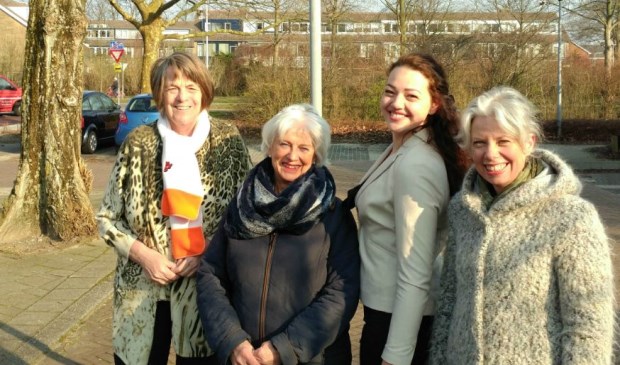 Vrouwen in de politiek. Helma Neppérus schreef er dit artikel over. Foto: PR
