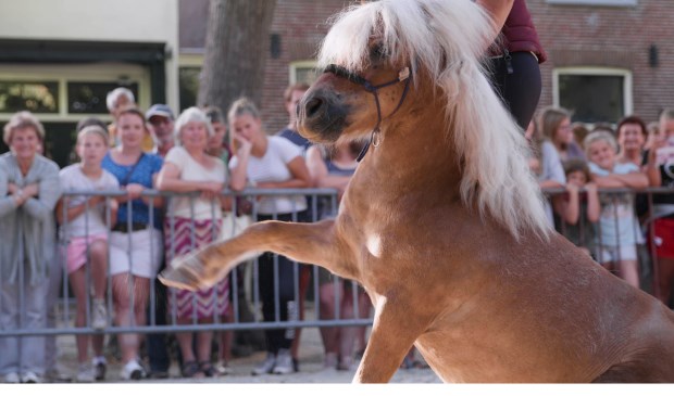 Foto's: Vincent Snoeker Studio Gradi en Voorschotense Krant